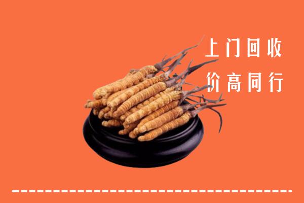 高价求购：轮台县回收散虫草