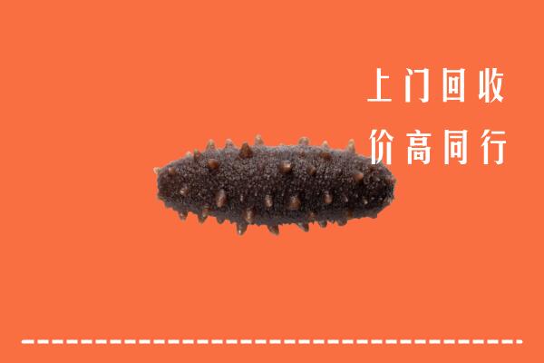 高价求购：轮台县回收海参