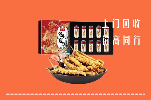 轮台县回收虫草